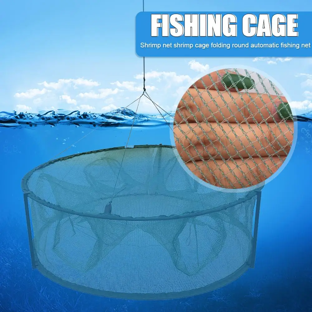 Se866148c17a741cd85d5874e150e2b8bS.webp